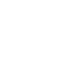 Audi Özel Servis Milas