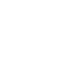 Seat Özel Servis Milas