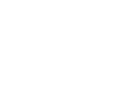 Skoda Özel Servis Milas
